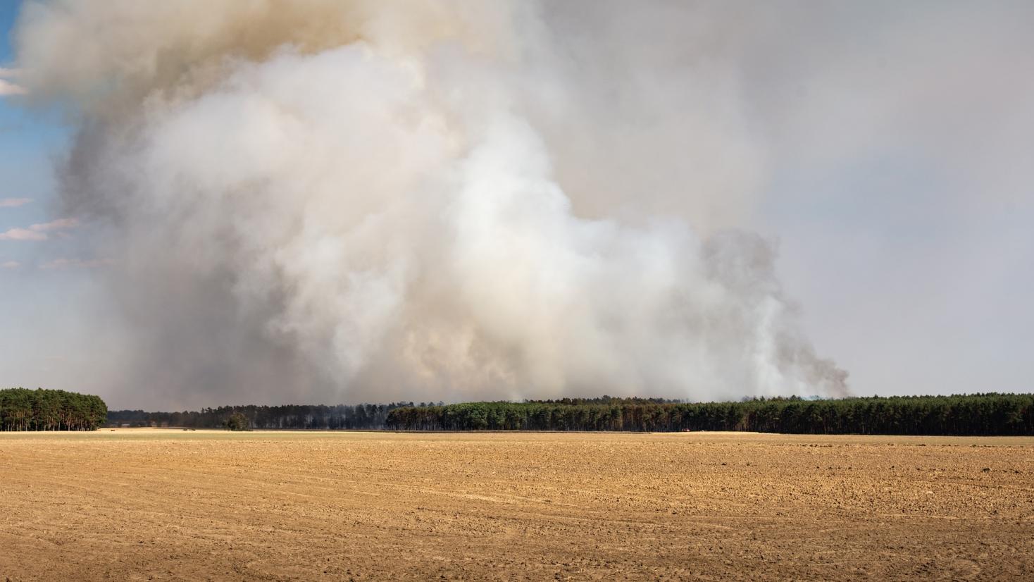 Waldbrand