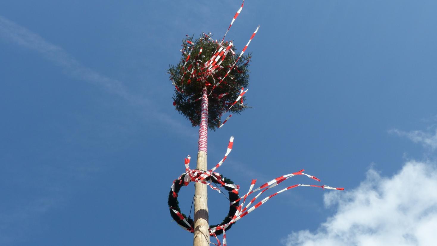 Maibaum