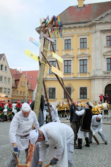 Narrenbaum Lauingen 2