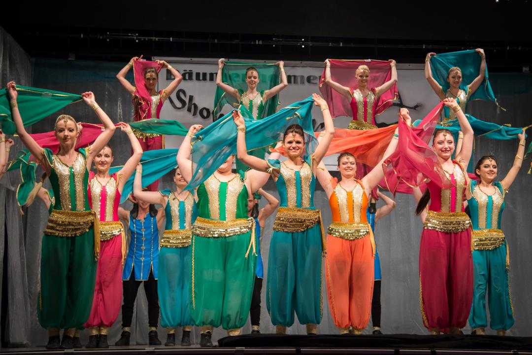 Schlossfinken Höchstädt Showtanz