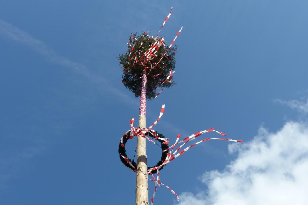 Maibaum