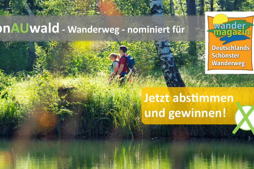 Stimmzettel DonAUwald