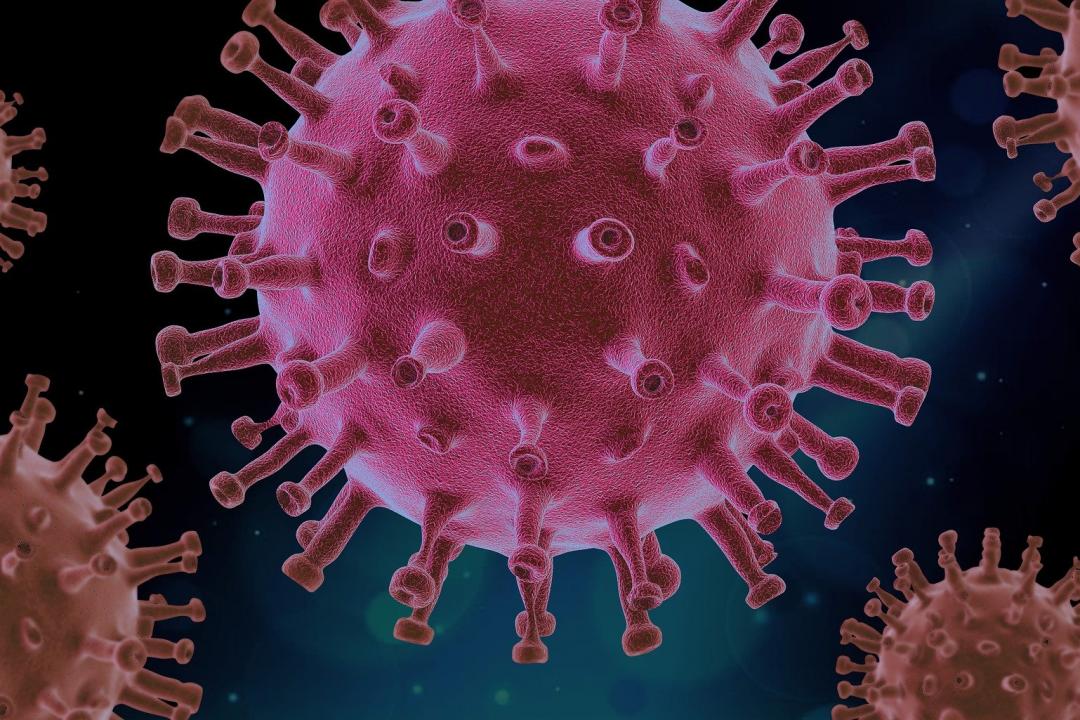 Virus