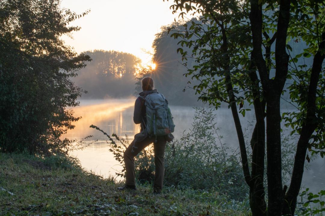 Morgenerwachen am Donauwald-Wanderweg bei Lauingen.