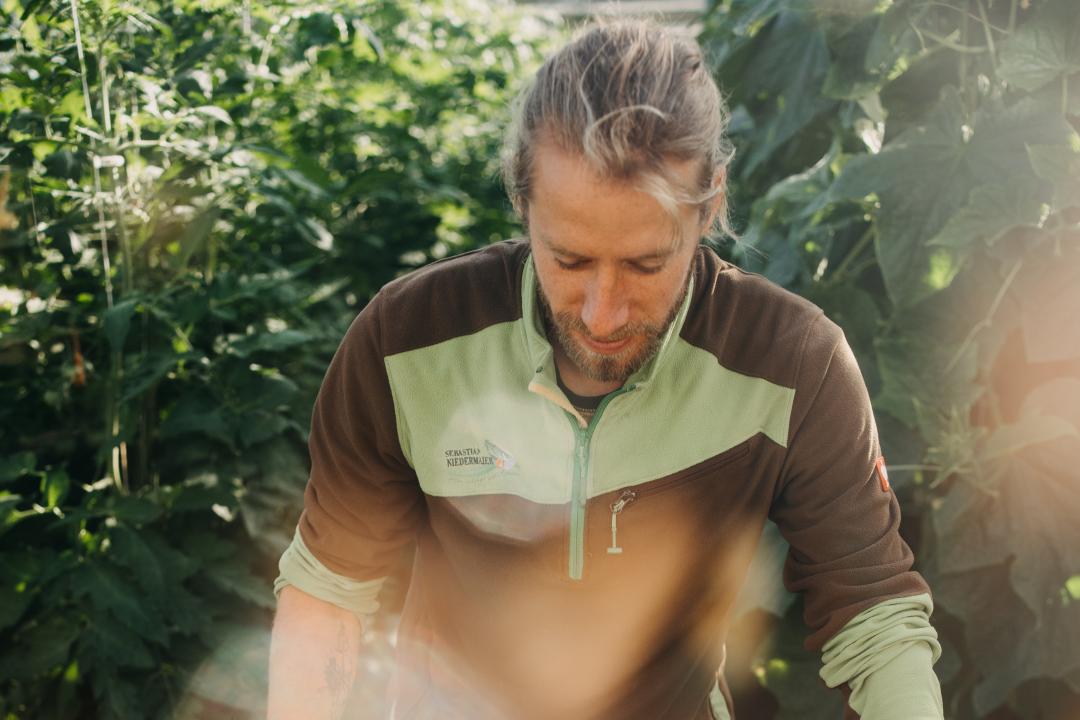 Sebastian Niedermaier