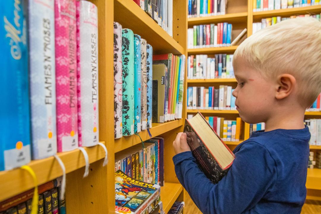 Bücher