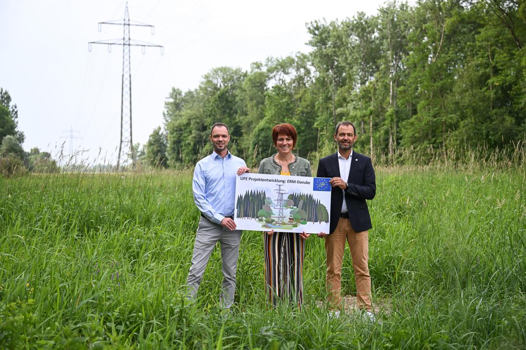 Machen sich stark für die ökologische Aufwertung der Energietrassen in Flussnähe und damit für mehr Artenvielfalt in der Region: Matthias Fink, Leiter Netzdienste und Technologie (LEW Verteilnetz), Katja Müller, Bürgermeisterin von Lauingen, Andreas Hurler, Leiter Instandhaltung Bau (LEW Wasserkraft).