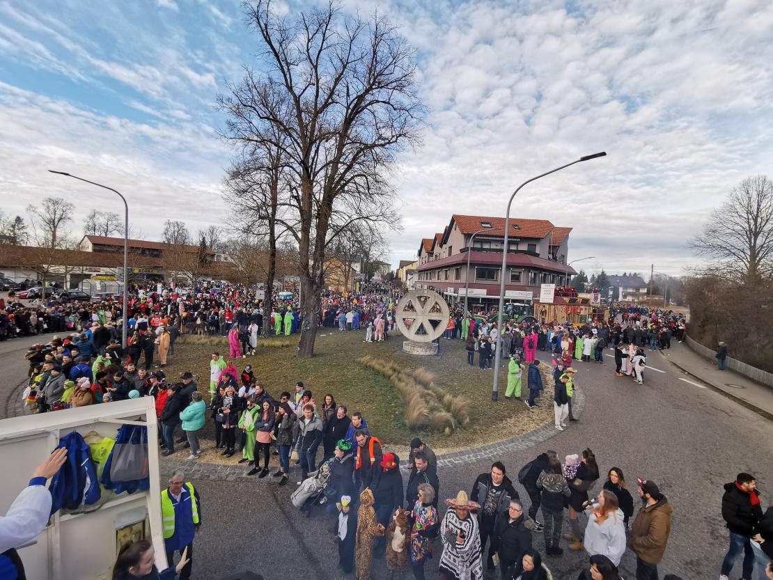 Faschingsumzug Höchstädt 2020