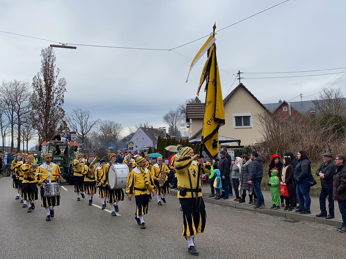 Faschingsumzug Höchstädt 2020