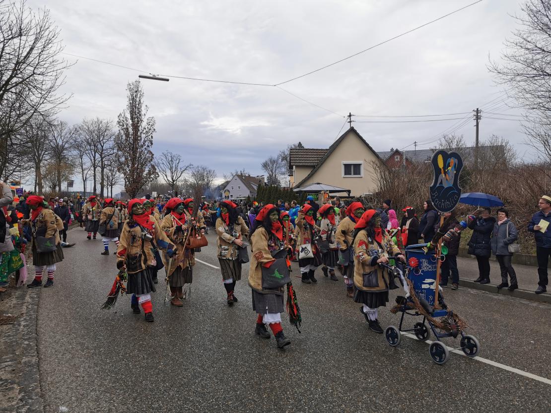 Faschingsumzug Höchstädt 2020