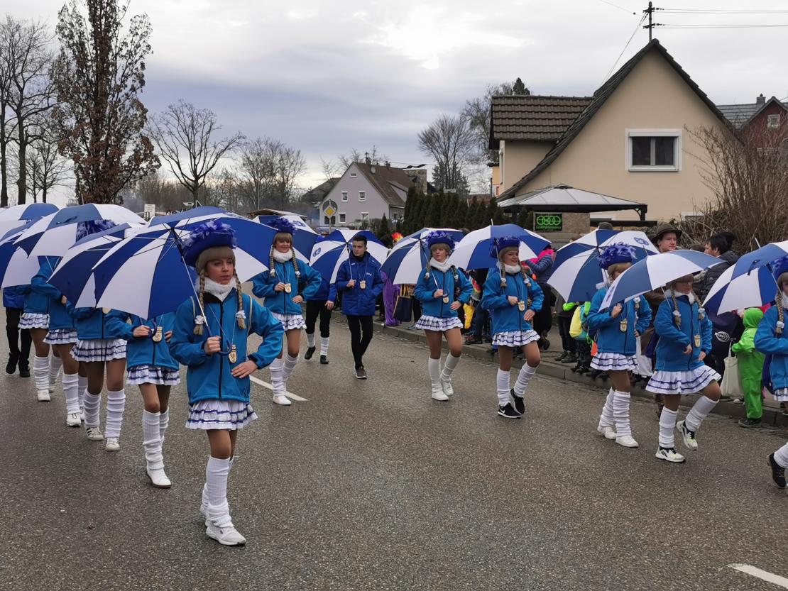 Faschingsumzug Höchstädt 2020