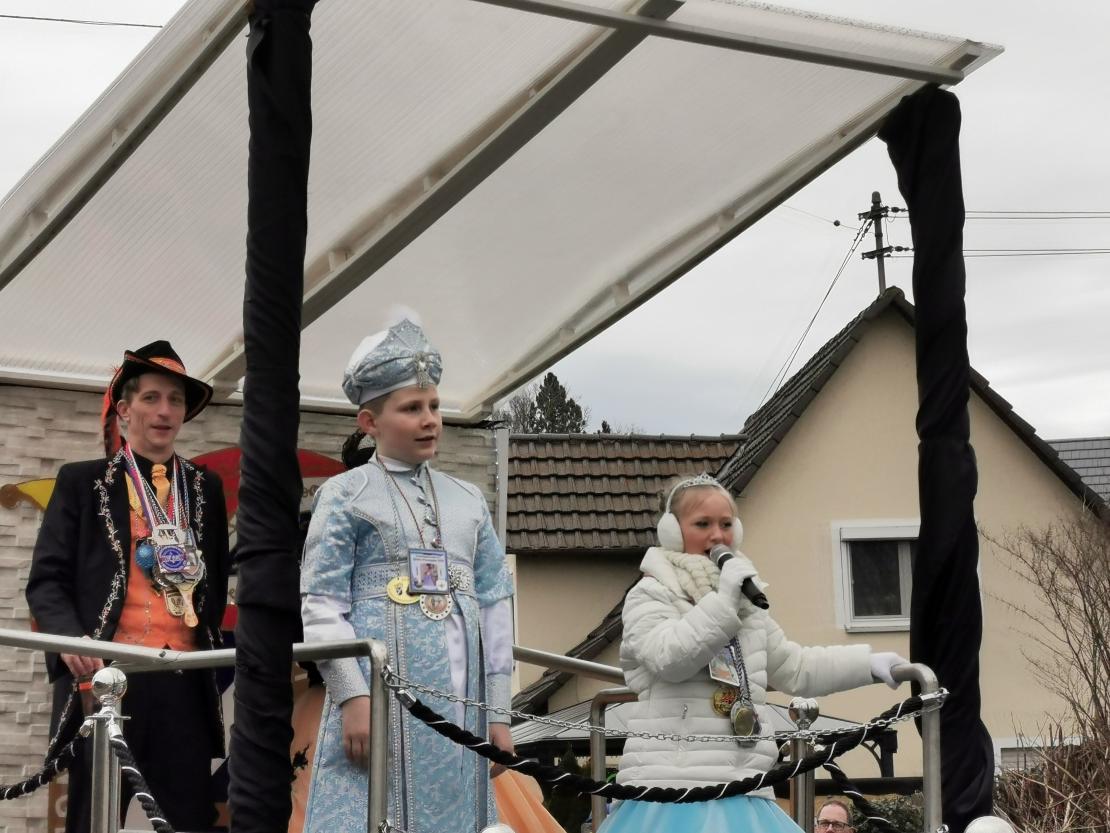 Faschingsumzug Höchstädt 2020