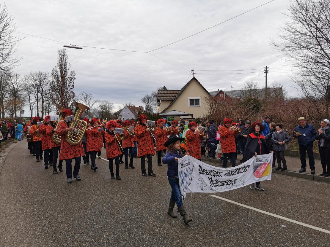 Faschingsumzug Höchstädt 2020