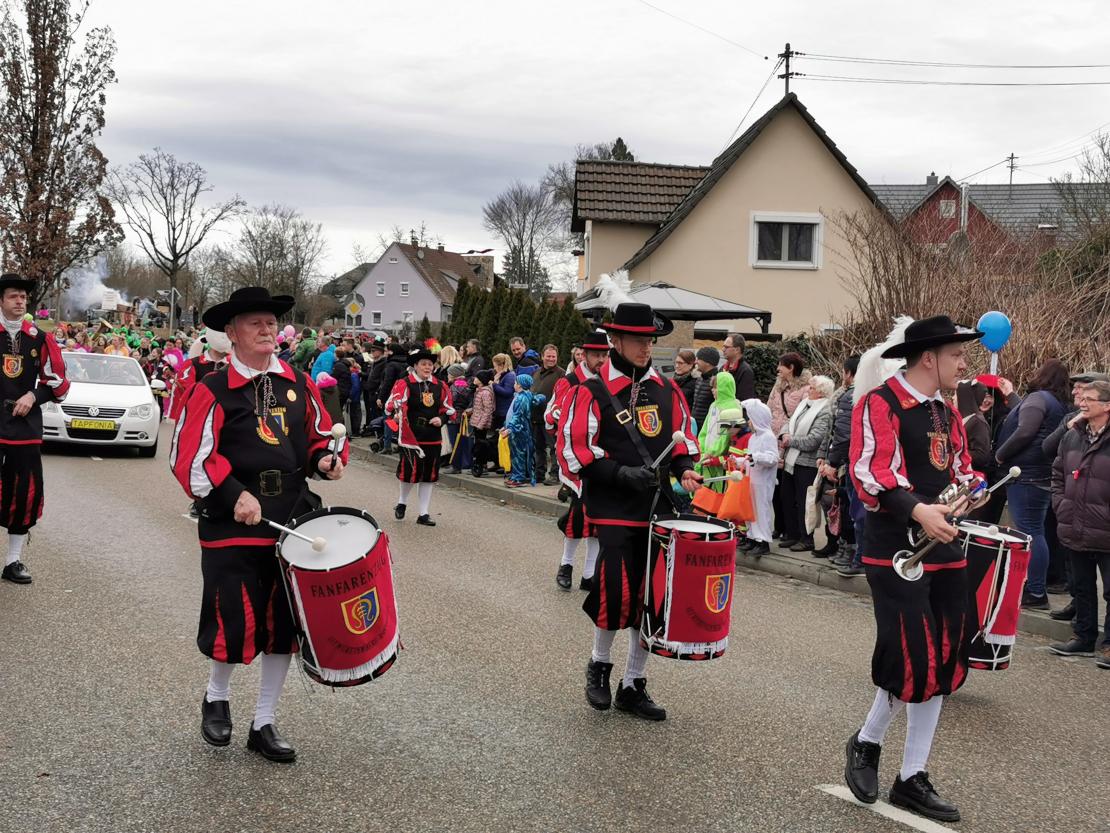 Faschingsumzug Höchstädt 2020
