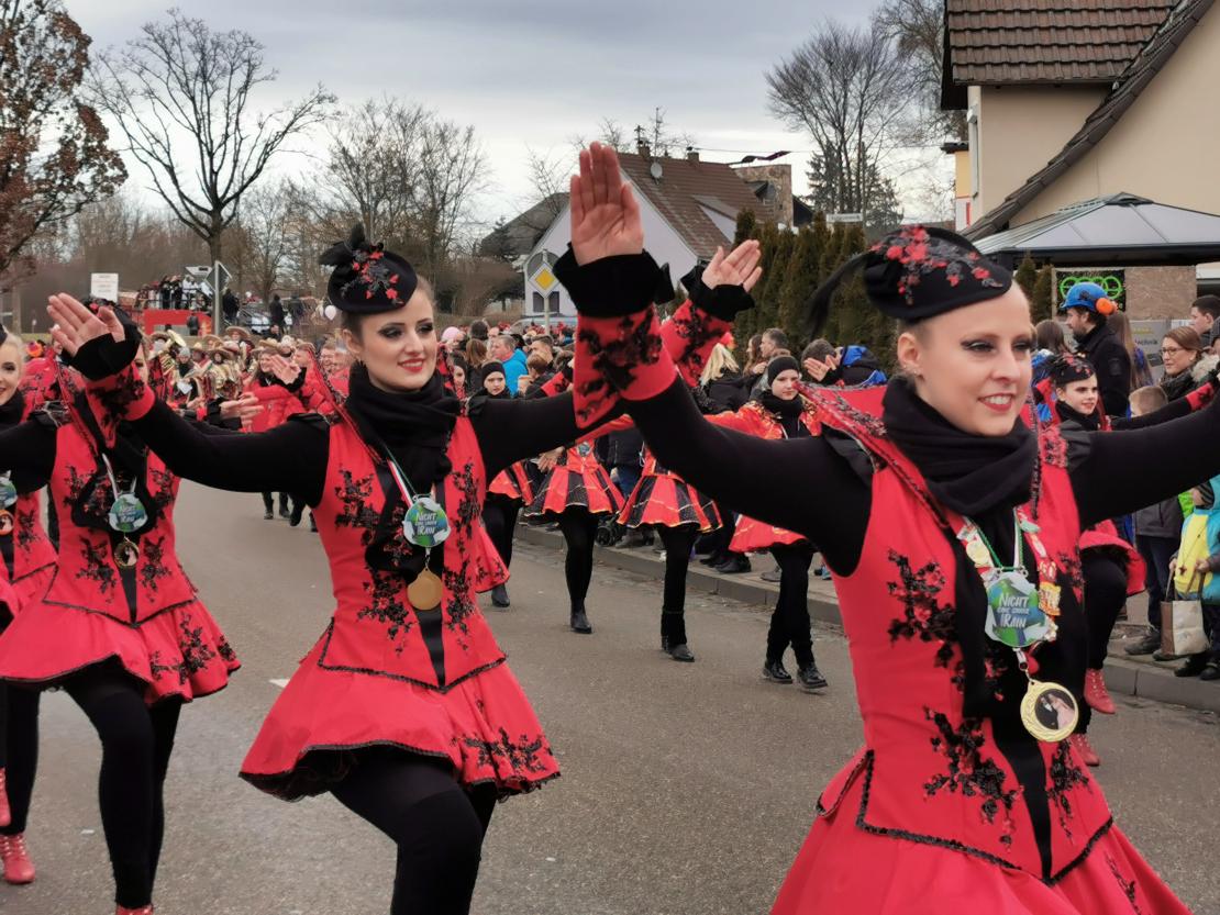 Faschingsumzug Höchstädt 2020