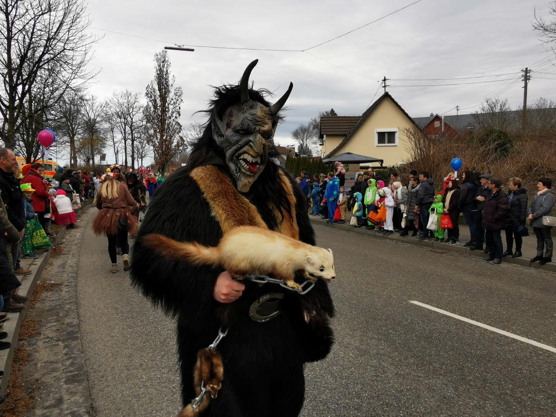 Faschingsumzug Höchstädt 2020