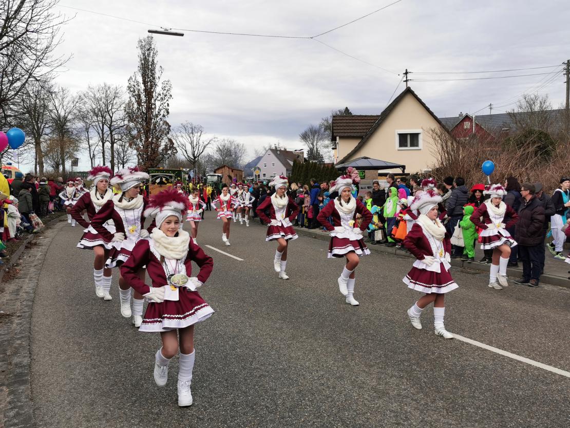 Faschingsumzug Höchstädt 2020