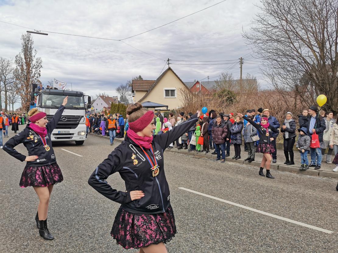 Faschingsumzug Höchstädt 2020