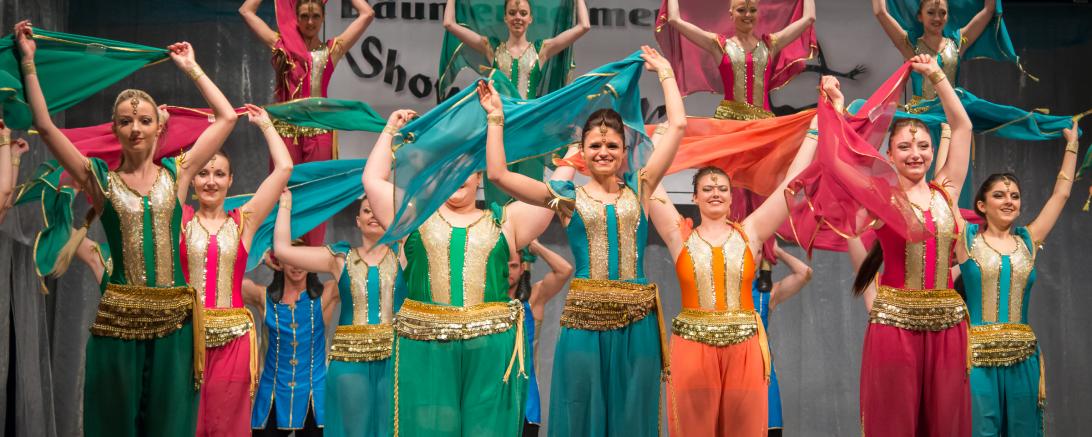 Schlossfinken Höchstädt Showtanz