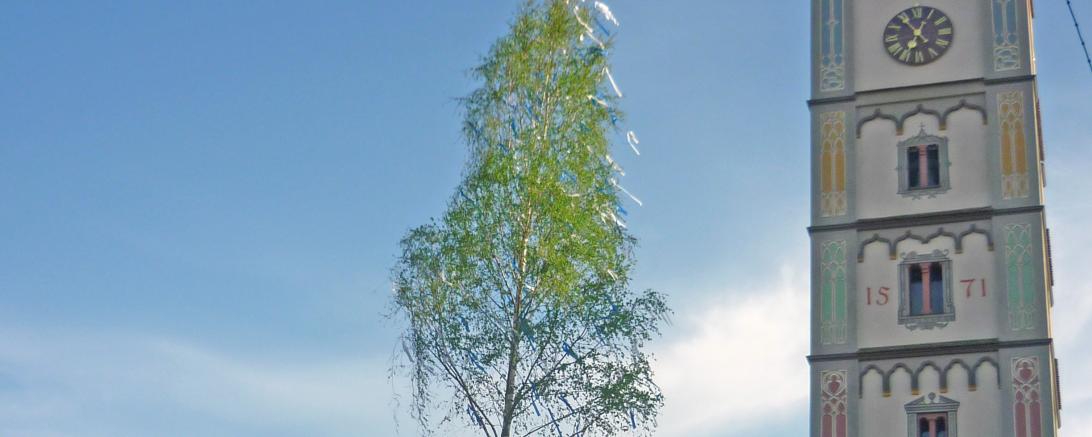 Maibaum Lauingen