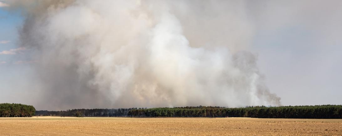 Waldbrand