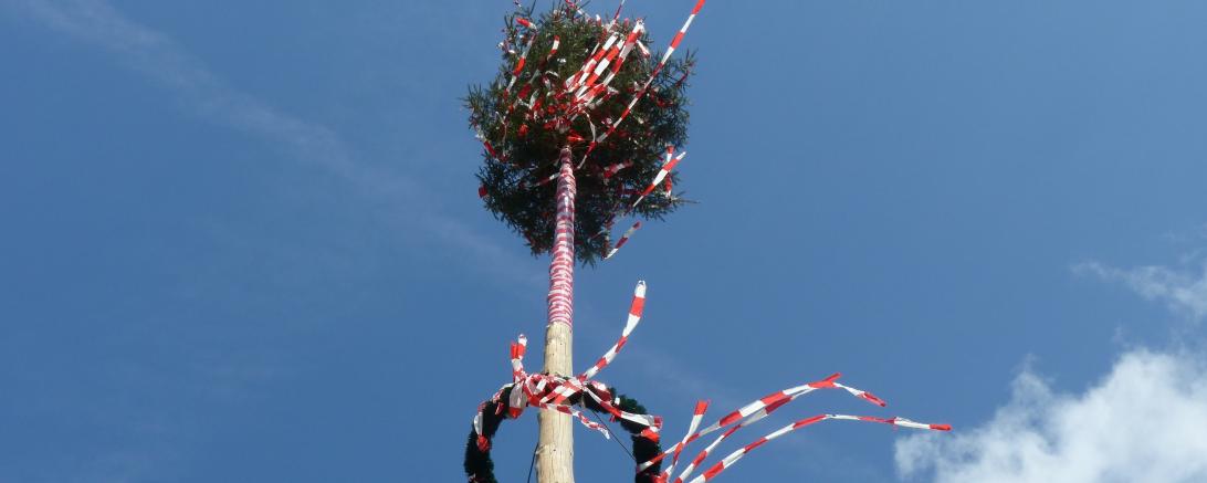 Maibaum