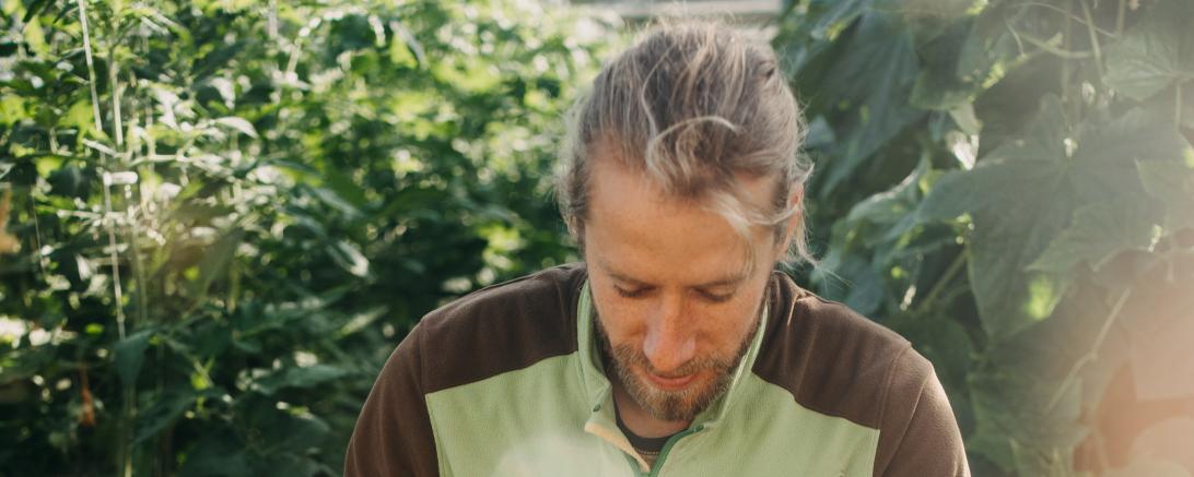 Sebastian Niedermaier