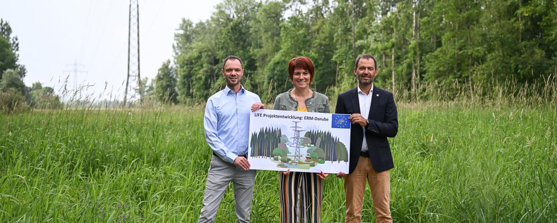 Machen sich stark für die ökologische Aufwertung der Energietrassen in Flussnähe und damit für mehr Artenvielfalt in der Region: Matthias Fink, Leiter Netzdienste und Technologie (LEW Verteilnetz), Katja Müller, Bürgermeisterin von Lauingen, Andreas Hurler, Leiter Instandhaltung Bau (LEW Wasserkraft).